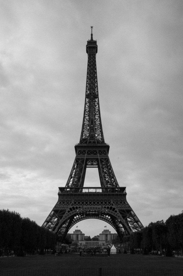 Eiffel Tower Paris France Photography - Photography by Studio L