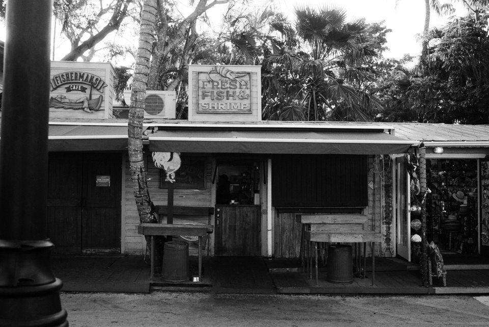 Key-West-Florida-film-photography-by-Studio-L-travel-photographer-Laura-Schneider-_10