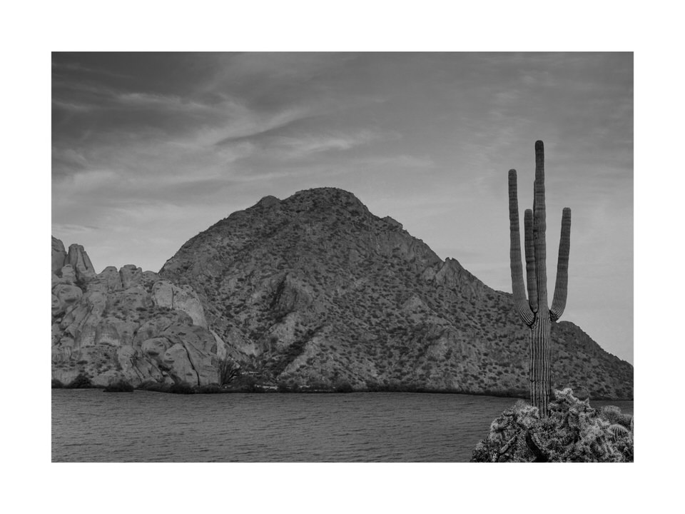 Camelback_30x40