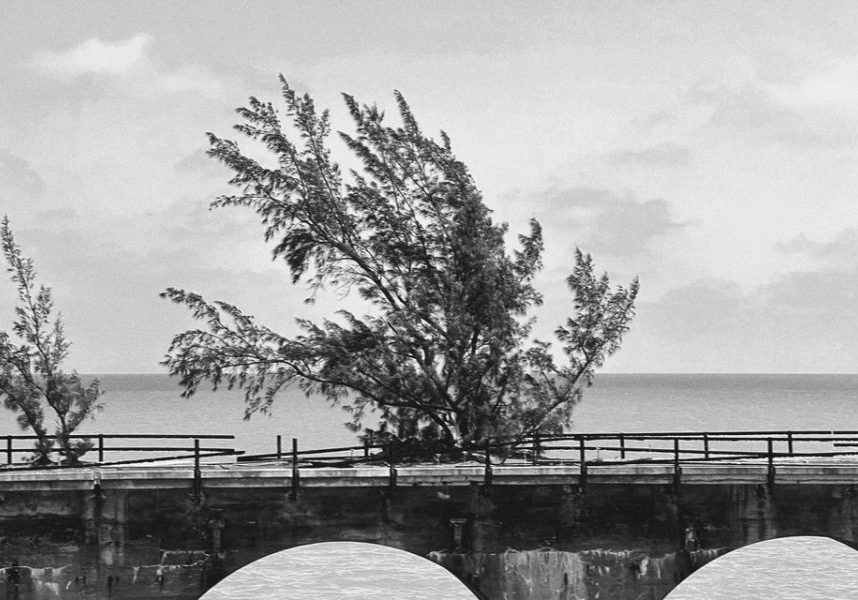 Seven-Mile-Bridge-Florida-Keys-photography-by-Studio-L-travel-photographer-Laura-Schneider-_2970